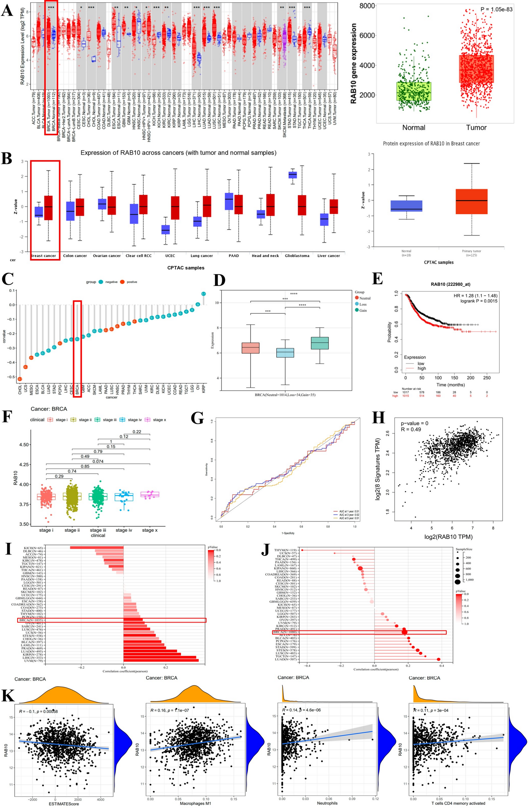 Integrative proteomics and metabolomics analyses reveals the regulation of autophagy and ferroptosis by RAB10 through Slc37a2/mTOR pathway in breast cancer