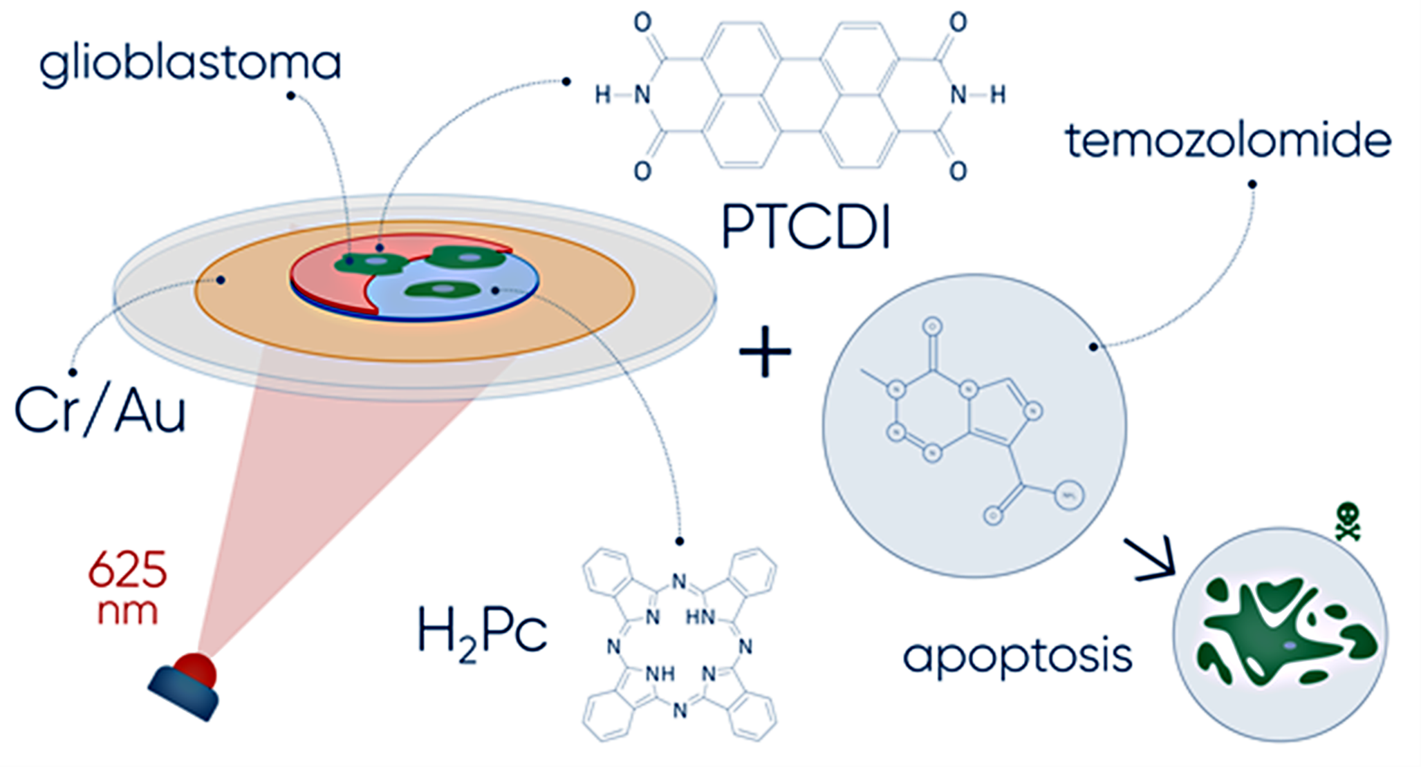 Enhancing the therapeutic effect on tumor cells through wireless optoelectronic stimulation