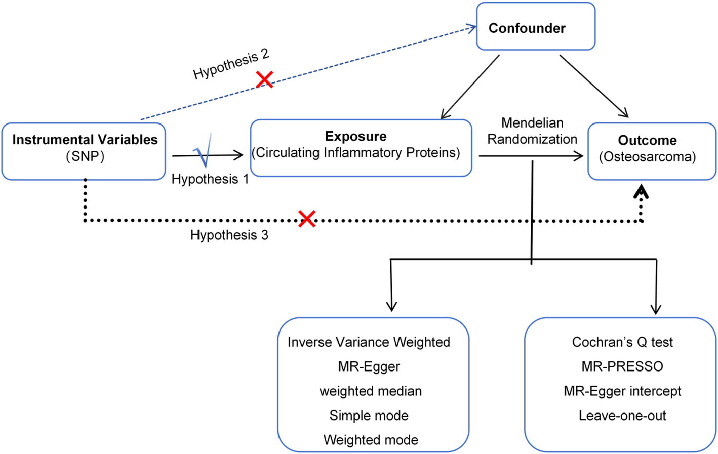 Two-sample Mendelian randomization analysis of the causal association between circulating inflammatory proteins and osteosarcoma