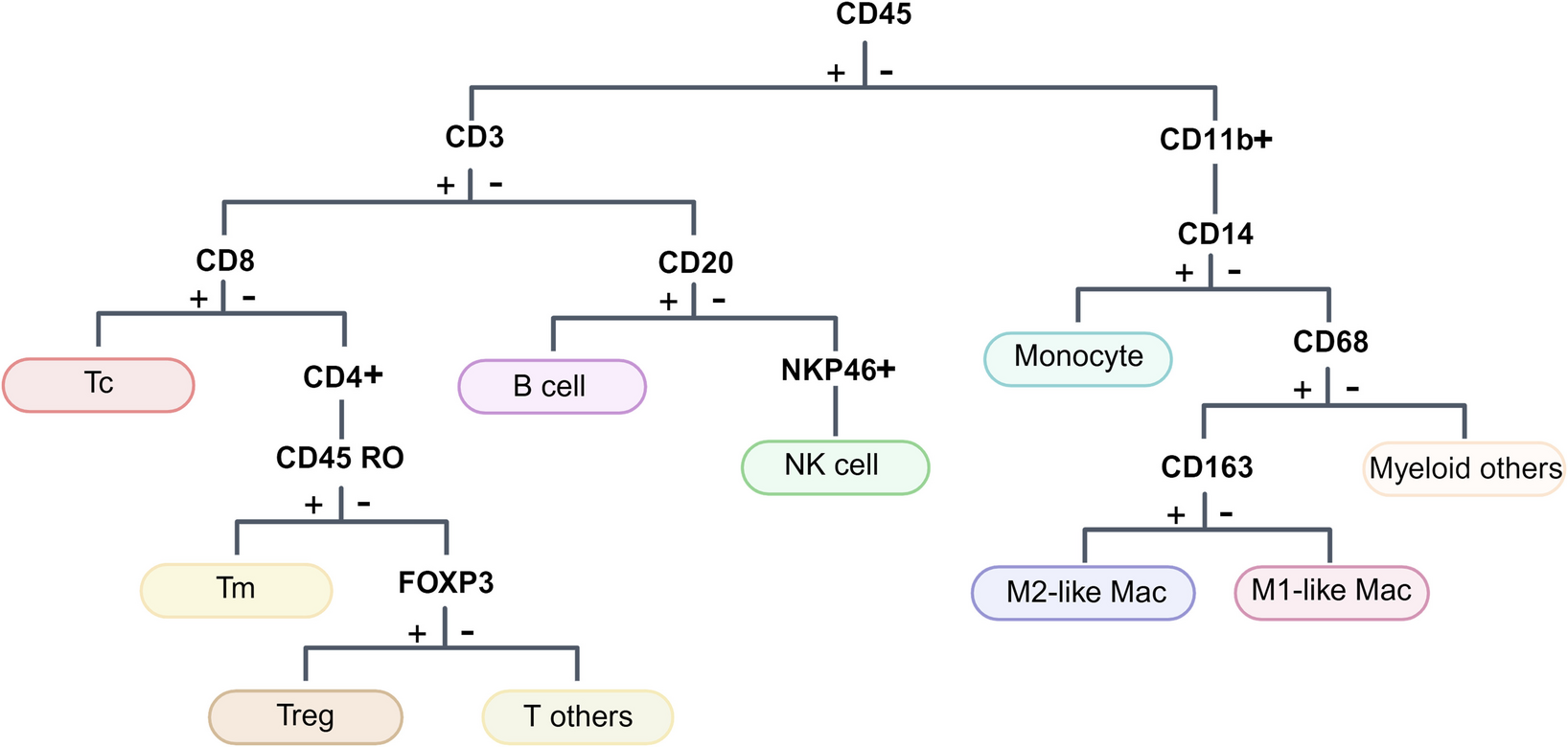 Single-cell spatial proteomics of non-relapse small cell lung cancer identifies tumor microenvironment determinants of survival