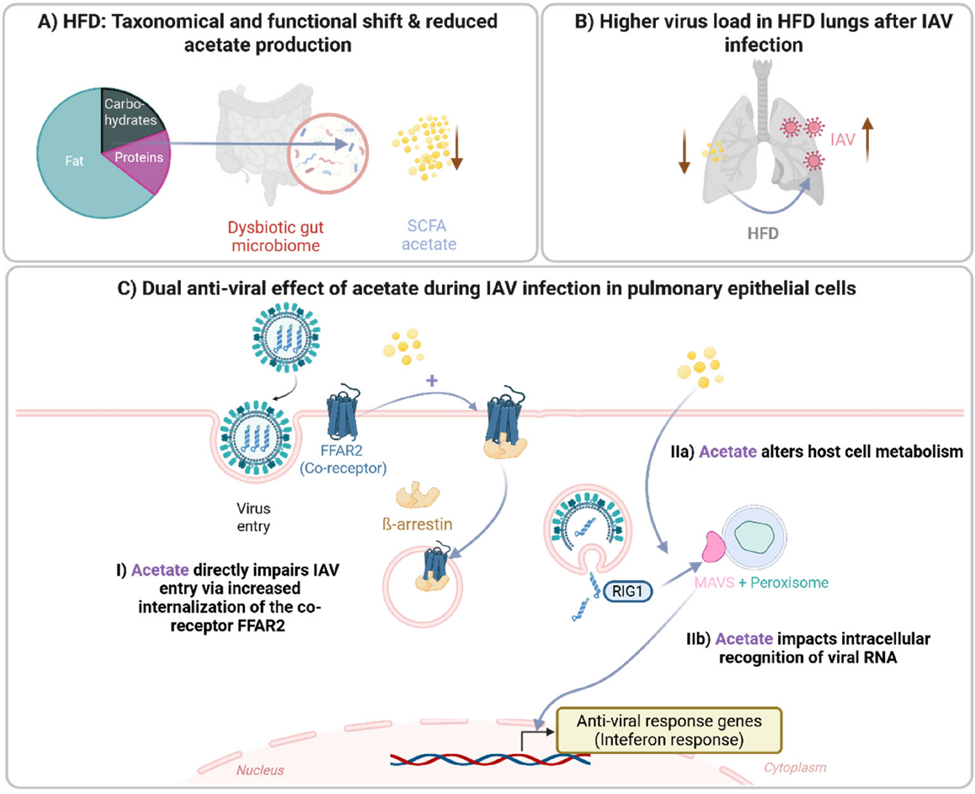 High-fat diet impairs microbial metabolite production and aggravates influenza A infection