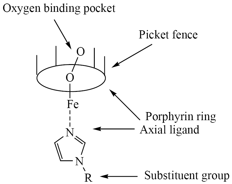 Study of Ligands on the Oxygenation Curve and Oxidation Rate of Heme Dimethyl Ester Hexacoordinated Complexes