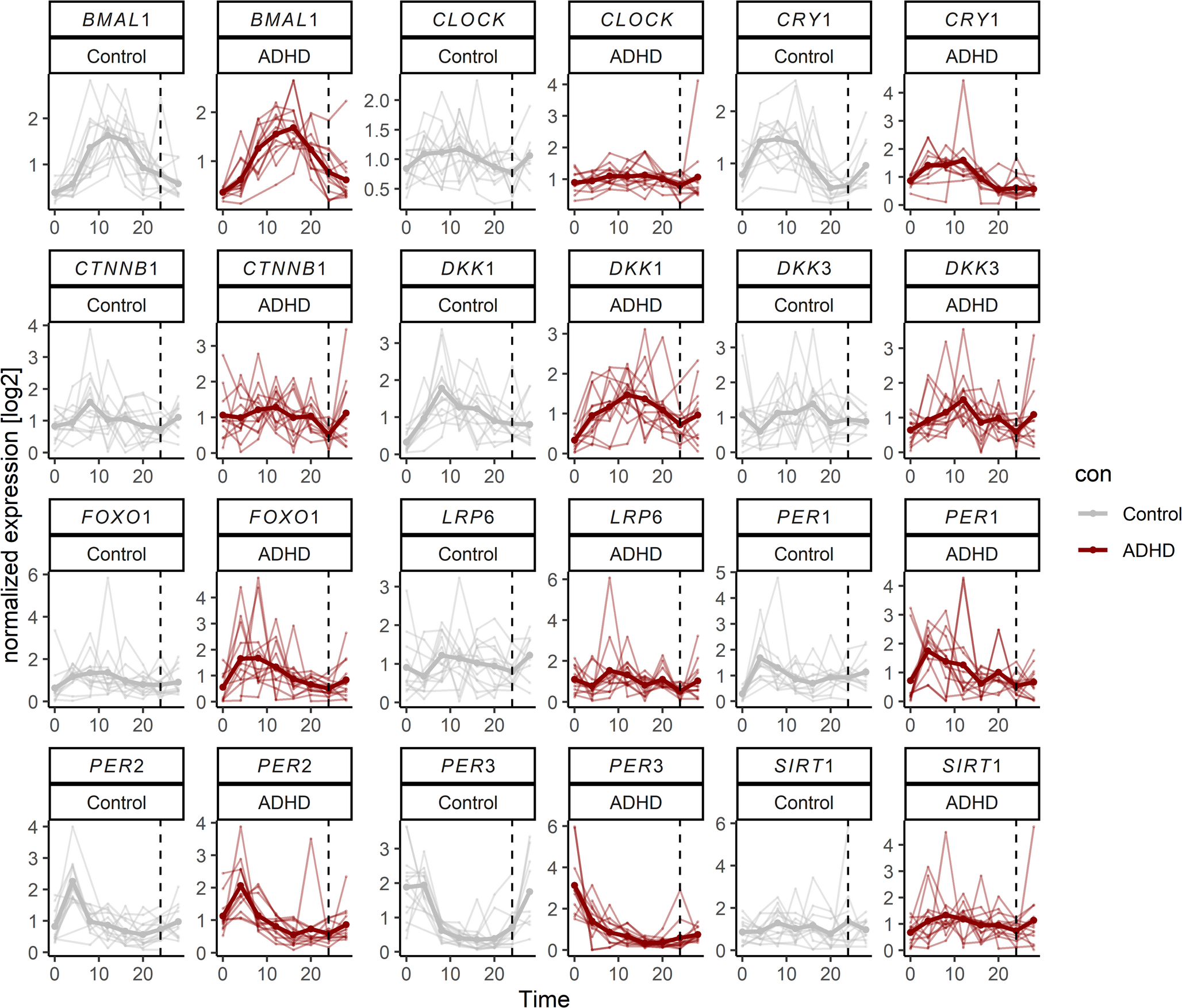 The link between Wnt-related, stress-related, and circadian genes in the dermal fibroblasts of individuals with attention-deficit hyperactivity disorder