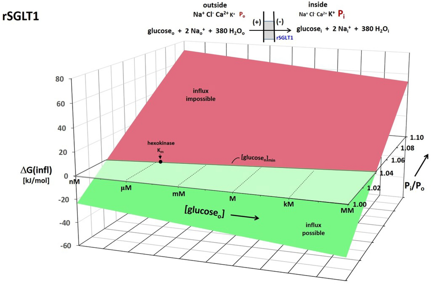 Metabolic Energy is Stored in a Homeostatic Trans-Membrane Water Barochemical Gradient
