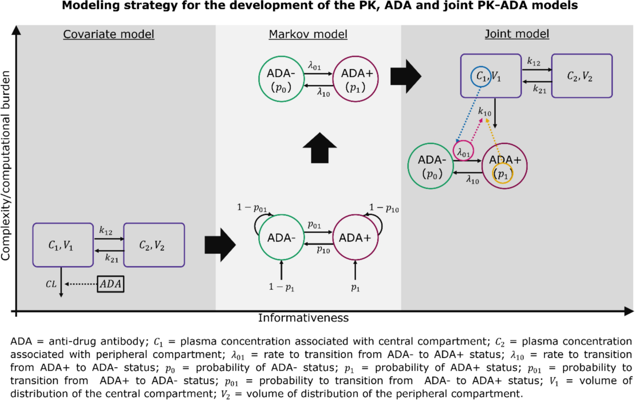 Interplay between pharmacokinetics and immunogenicity of therapeutic proteins: stepwise development of a bidirectional joint pharmacokinetics-anti-drug antibodies model