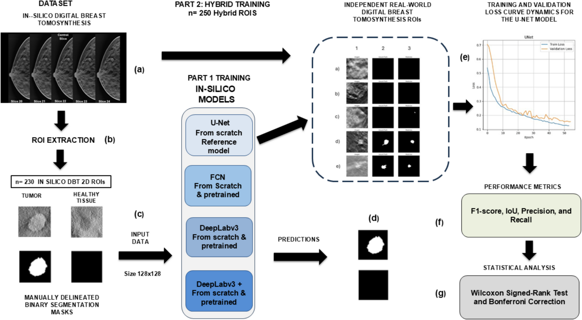 In Silico Digital Breast Tomosynthesis Dataset for the Comparative Analysis of Deep Learning Models in Tumor Segmentation