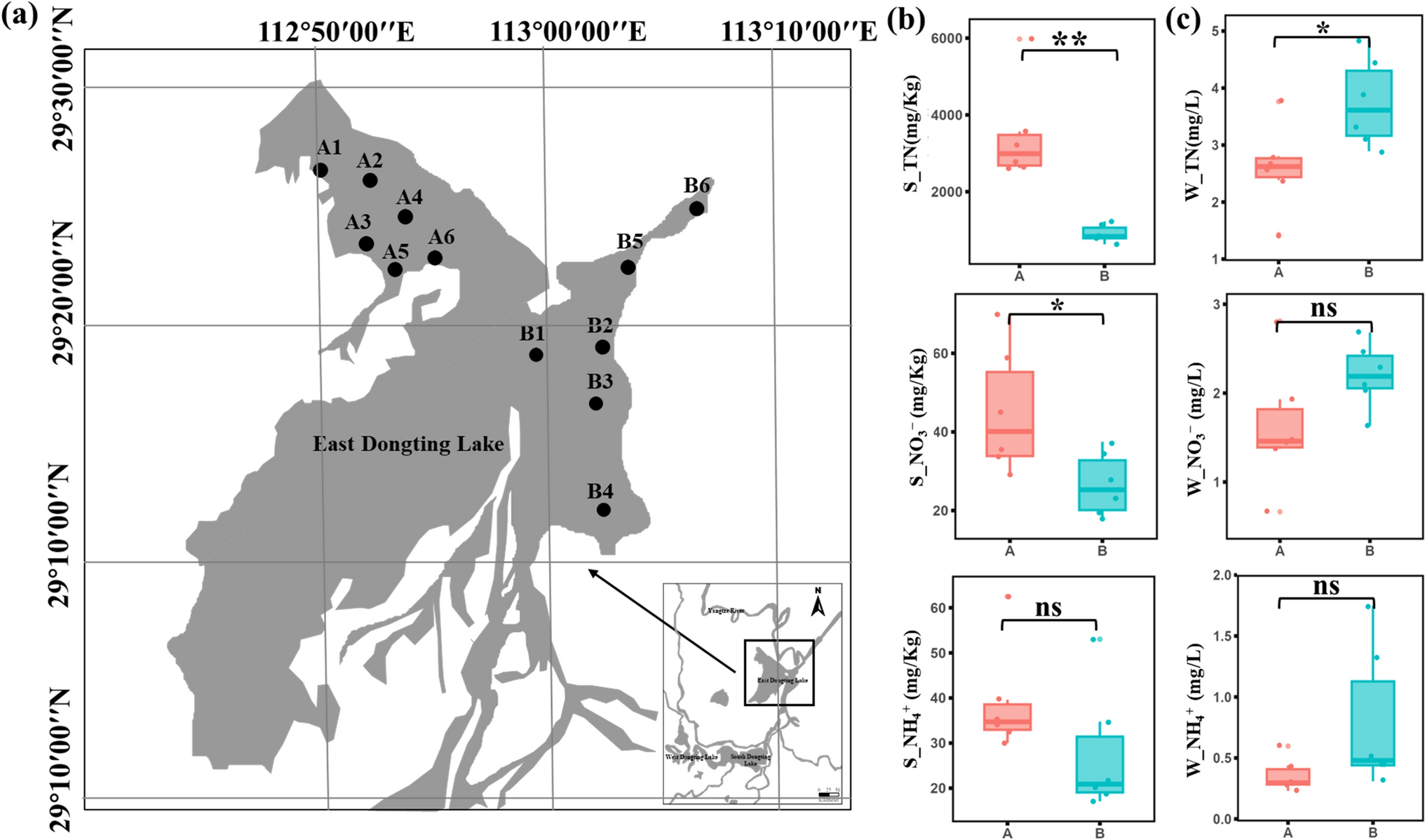 Different Adaption Strategies of Abundant and Rare Microbial Communities in Sediment and Water of East Dongting Lake