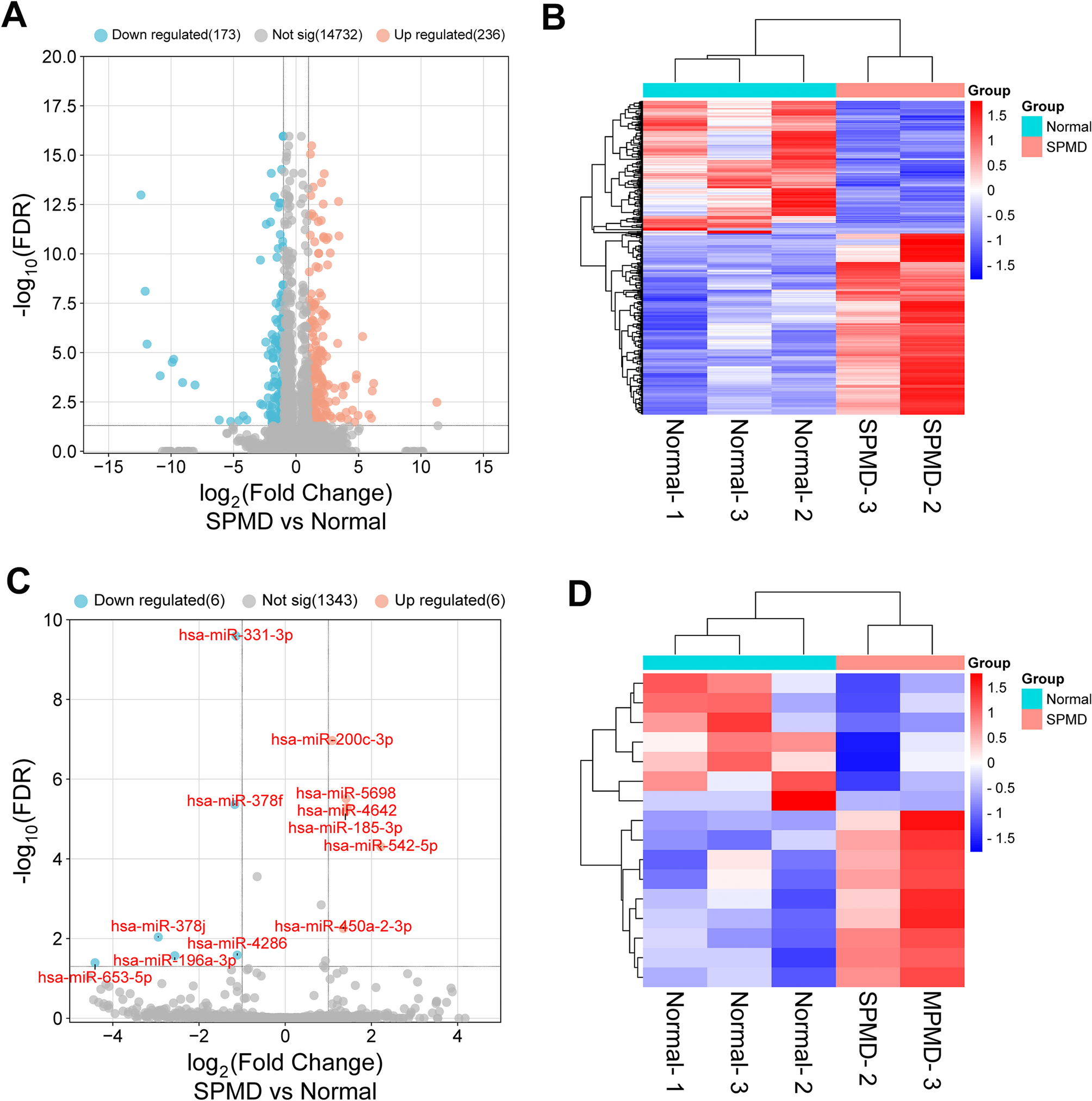 Targeting EGR1-ATF3 signaling mitigates paravertebral muscle degeneration by regulating cell death and inflammaging