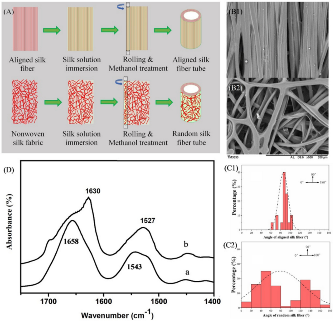 Aligned silk fibroin fiber conduits with enhanced capability for guiding peripheral nerve repair