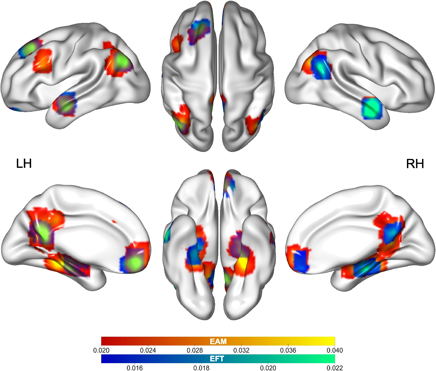 Cortical Gradients Support Mental Time Travel into the Past and Future: Evidence from Activation Likelihood Estimation Meta-analysis