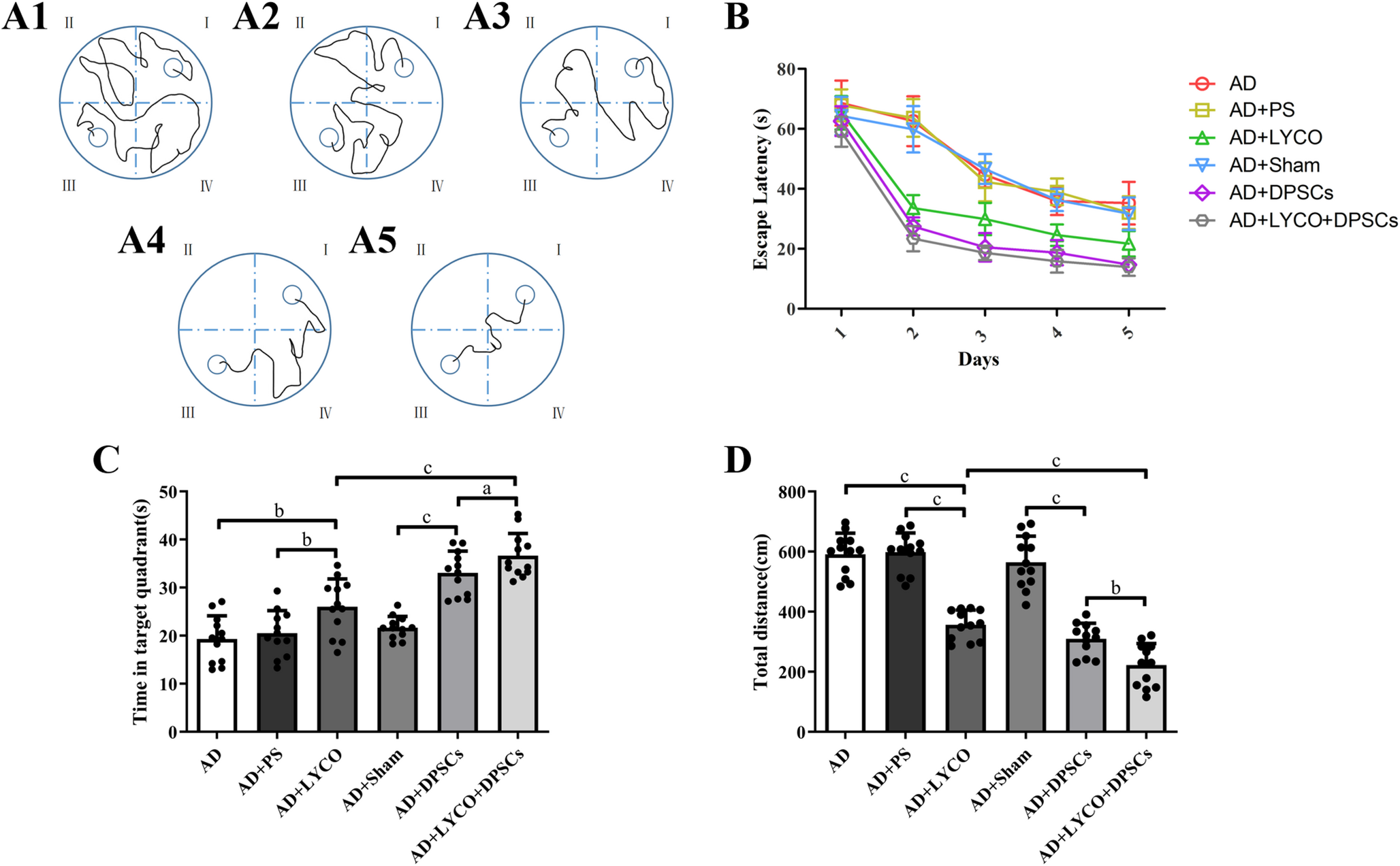 An analysis of the therapeutic efficacy and underlying mechanisms of combining lycopene with dental pulp stem cells to ameliorate alzheimer’s disease in rats