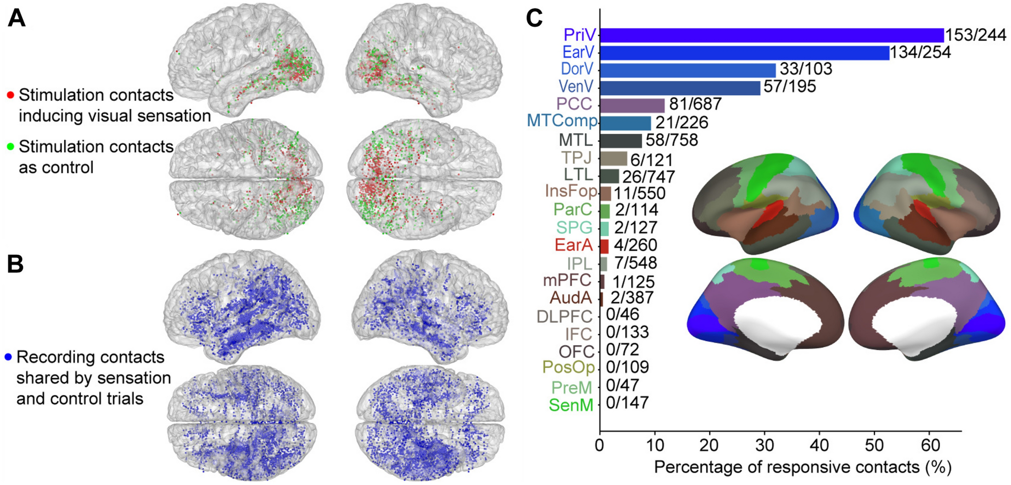 Electrophysiological Signatures of Visual Sensations Elicited by Direct Electrical Stimulation