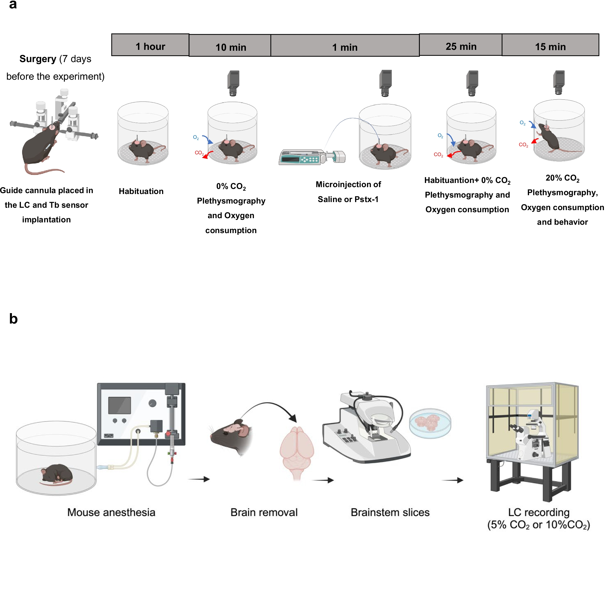 ASIC1a channels in the locus coeruleus mediate hypercapnic acidosis detection and CO-induced panic behavior