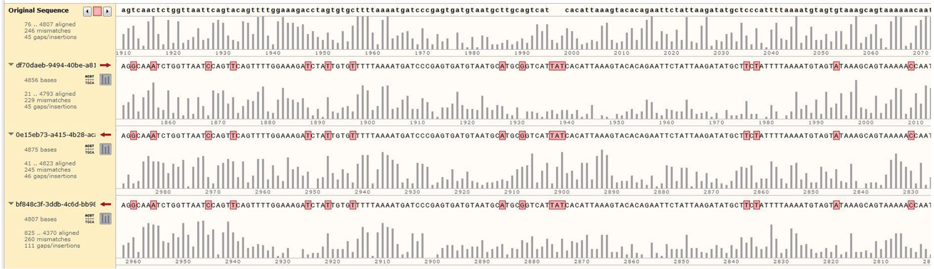Intragenomic Polymorphism and Pseudogenization of the  Gene in the Far Eastern Owls (Family Strigidae, Aves)