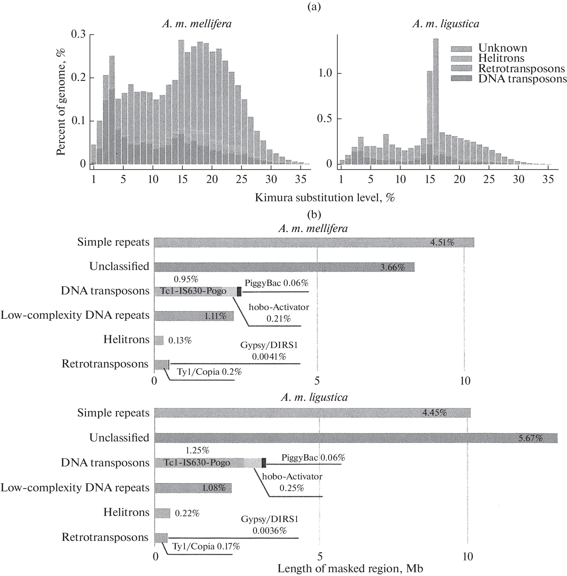 Diversity and Evolution of the Repetitive Element Repertoire in Two Subspecies of Honey Bee