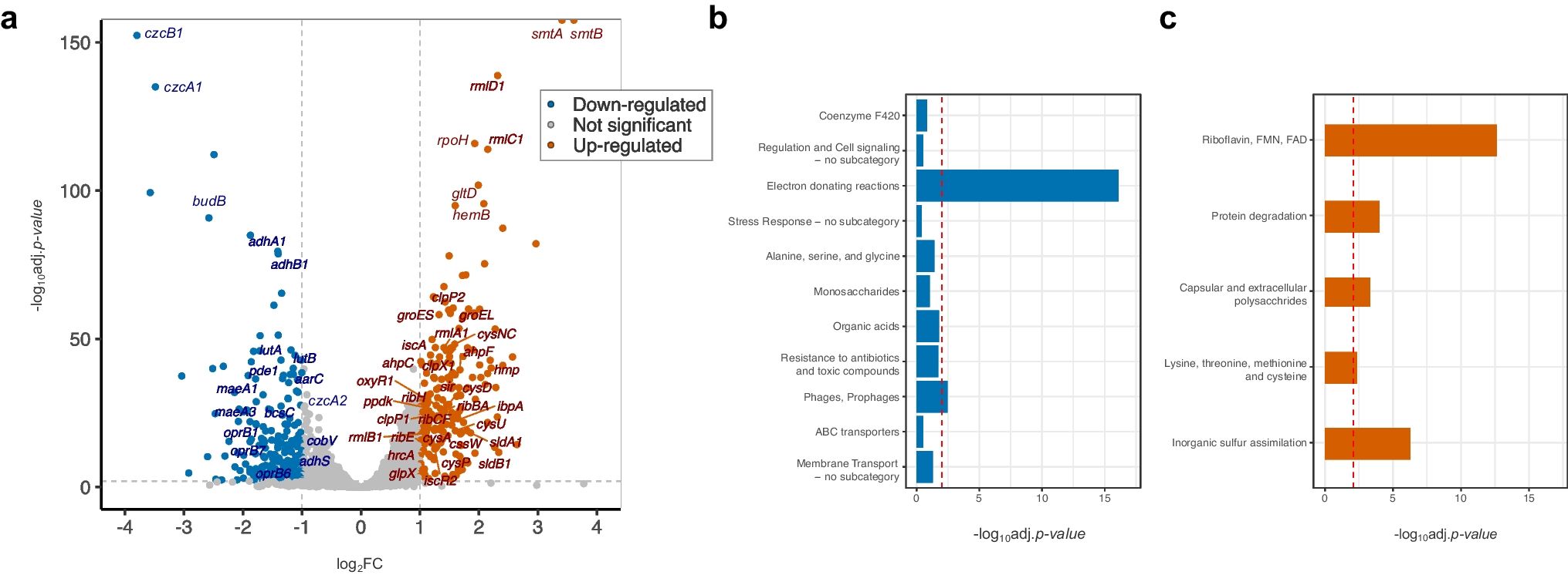 Transcriptional reprogramming of  SI1 during growth on glycerol