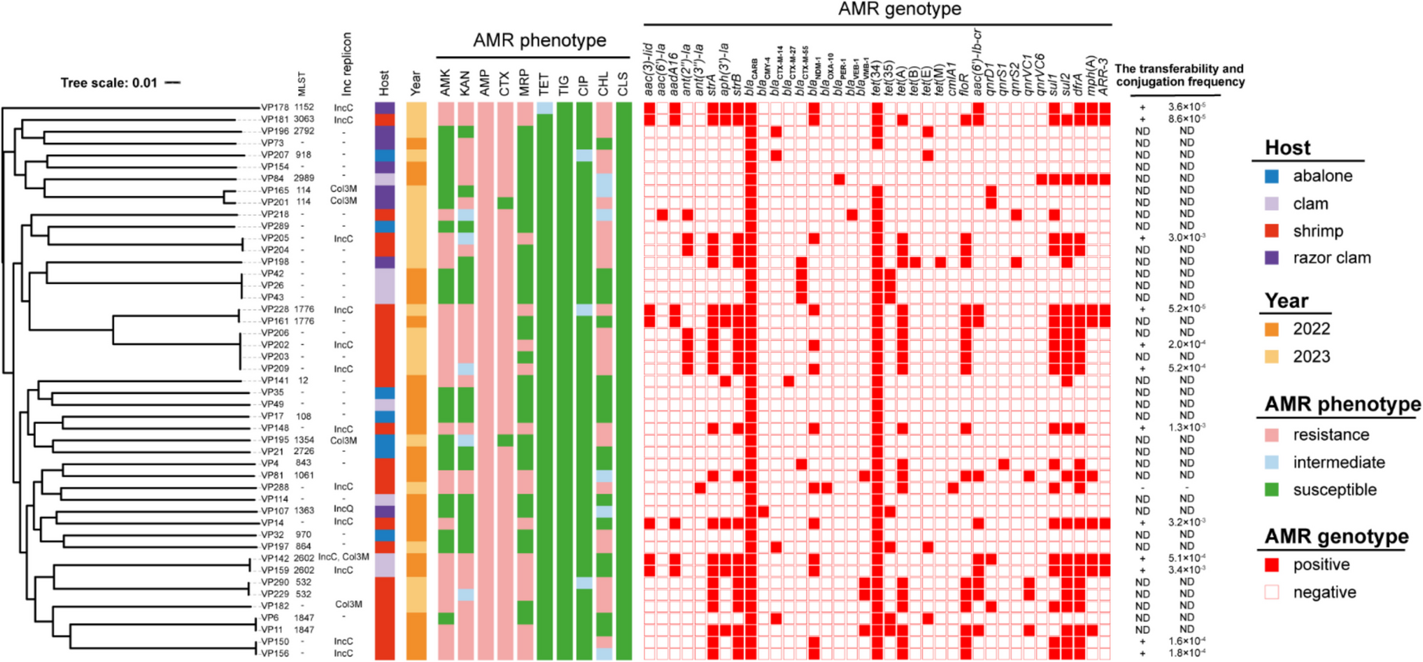 Genetic basis of transmission of  among foodborne  strains in China