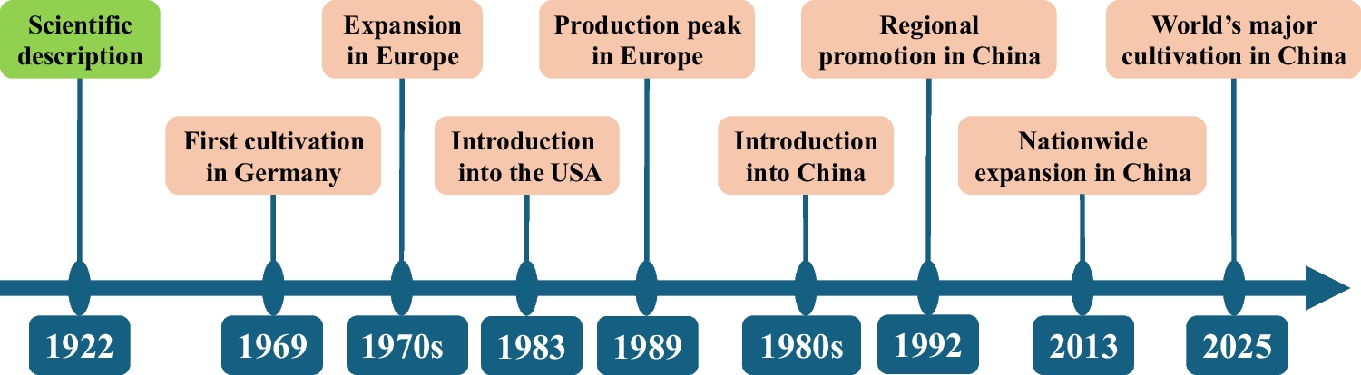 The rise of  industry in China: current state and prospects