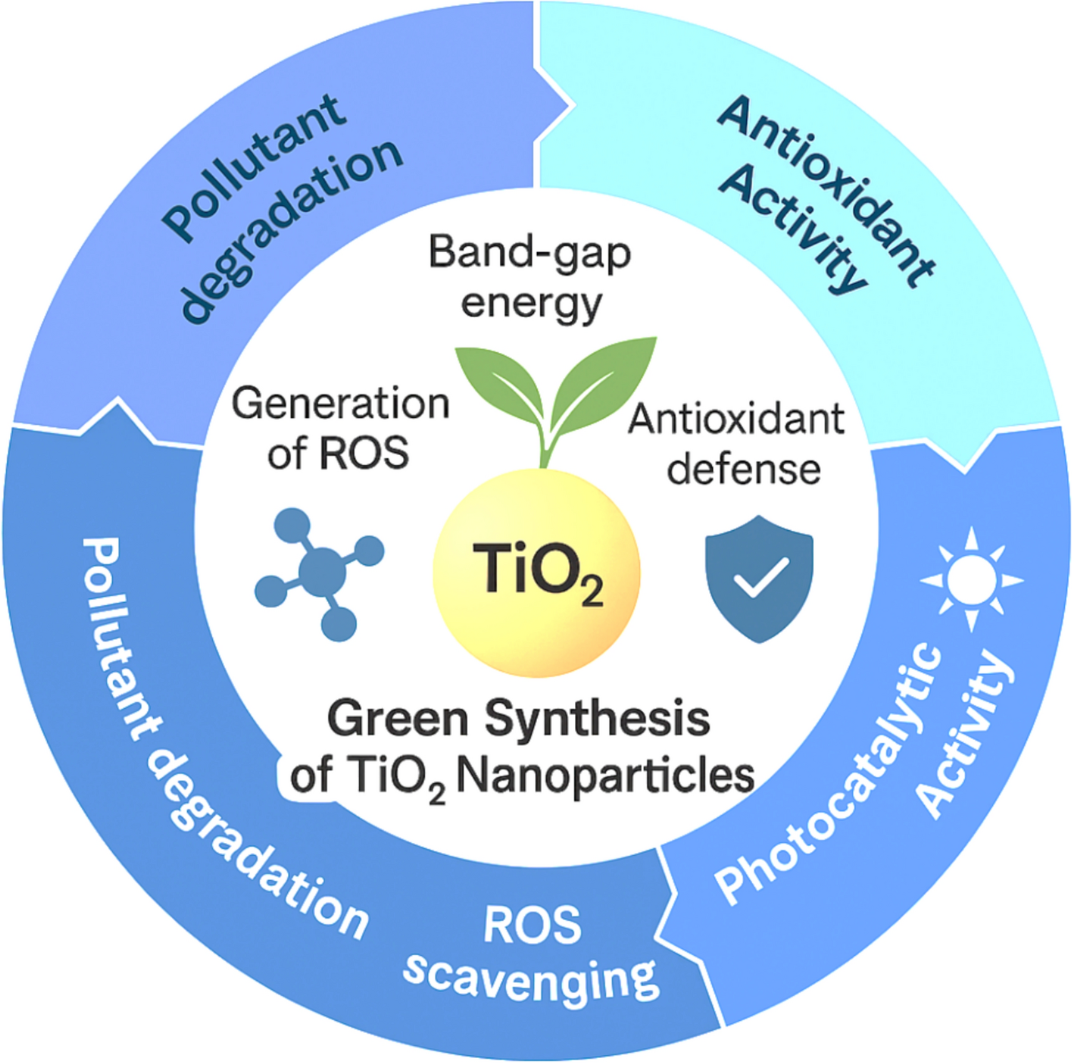 Green synthesis of doped TiO nanoparticles using : antioxidant and antibacterial evaluation