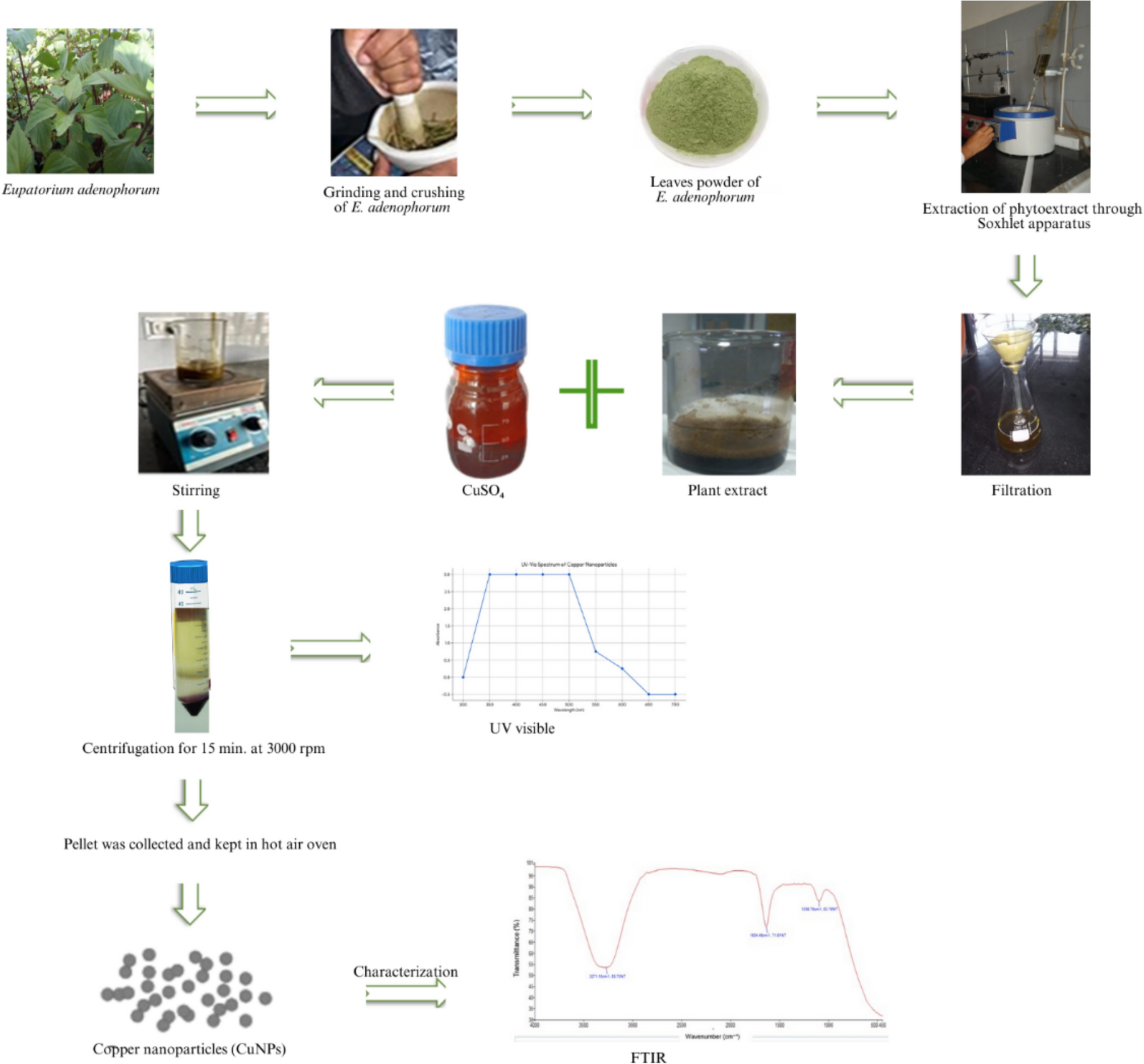 The structure identification and antimicrobial prospective of copper nanoparticles derived via phyto-mediated synthesis using