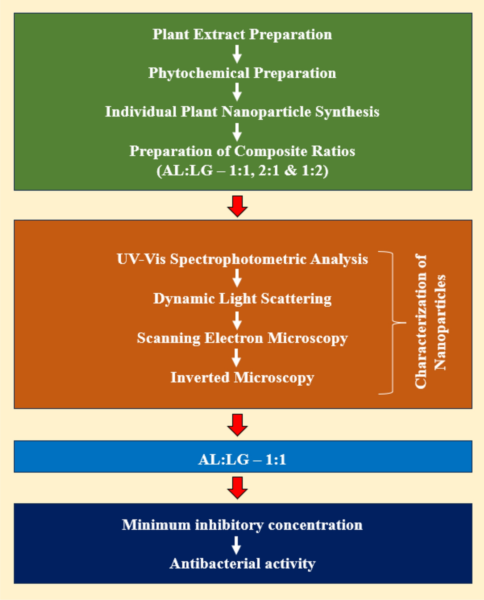 Green synthesis, characterization and antimicrobial evaluation of silver nanoparticle composites from  and