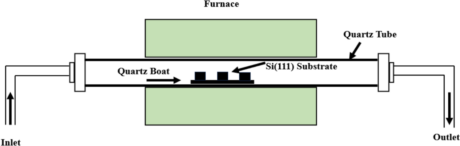 In situ manipulation of electron beam irradiation-activated nanoscale tips formation from amorphous and metal modified silica nanowires