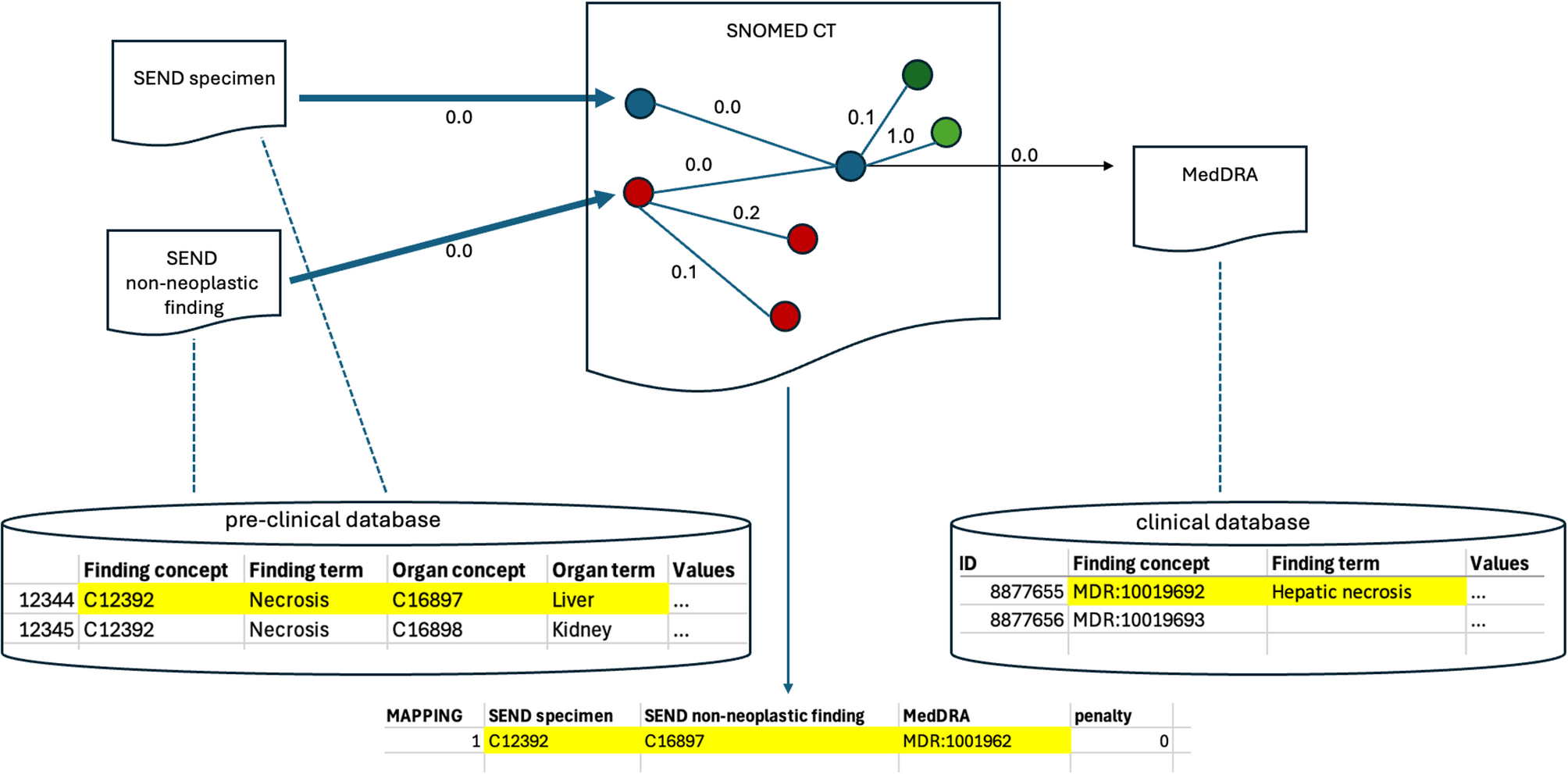 Mapping between clinical and preclinical terminologies: eTRANSAFE’s Rosetta stone approach