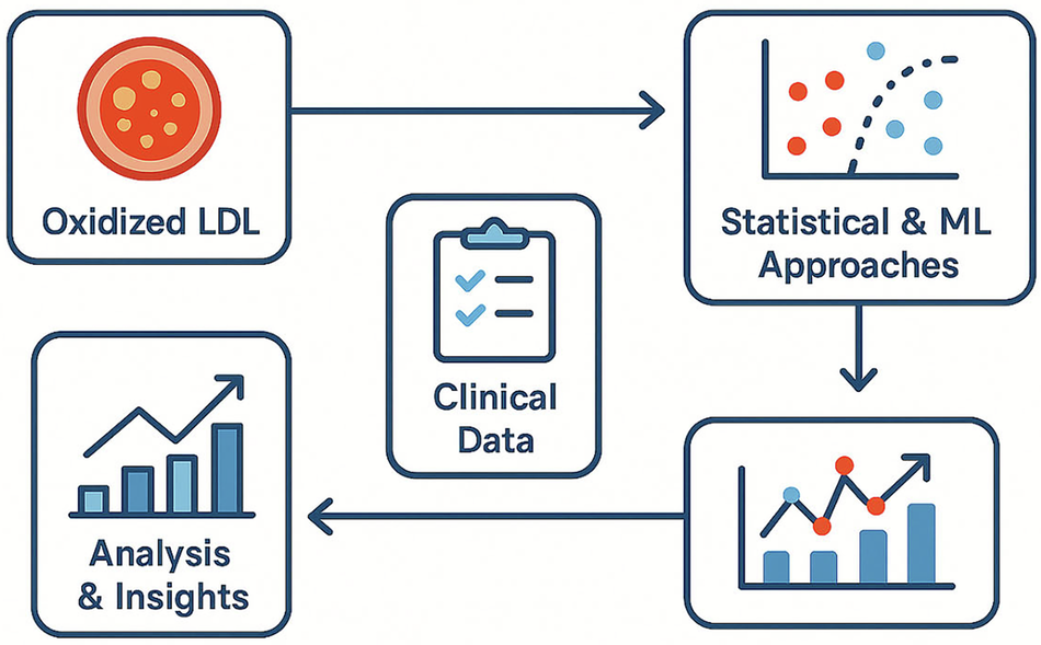 Harnessing Statistical and Machine Learning Approaches to Analyze Oxidized LDL in Clinical Research