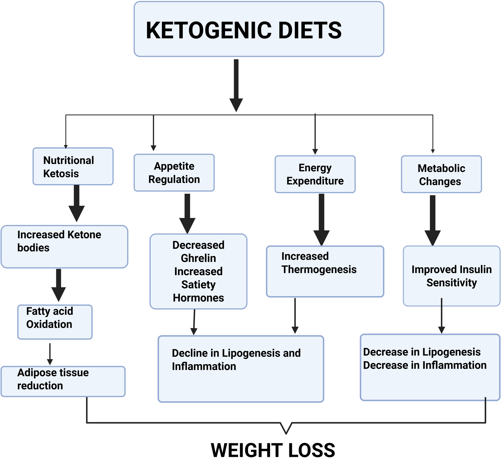 The Ketogenic Diet in Obesity Management: Friend or Foe?