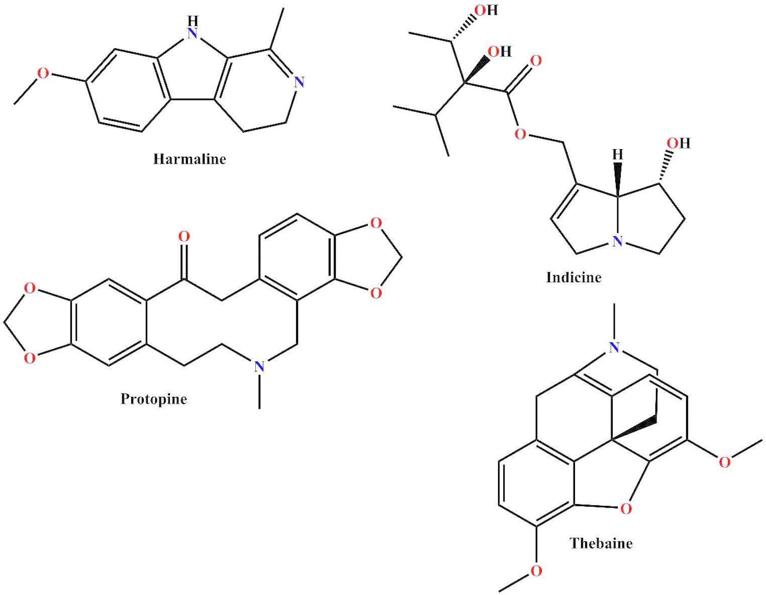 Repurposing  Alkaloids as Allosteric PTP 1B Inhibitors: Computational Profiling and Biochemical Validation