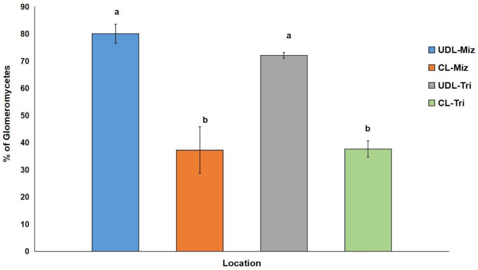 Diversity and distribution of arbuscular mycorrhizal fungi in phosphorus-deficient acidic soils of Northeast India: implications for sustainable agriculture