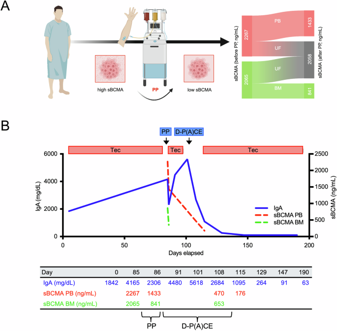 Plasmapheresis facilitates soluble BCMA clearance and contributes to reversing primary resistance to anti-BCMA immunotherapy in multiple myeloma
