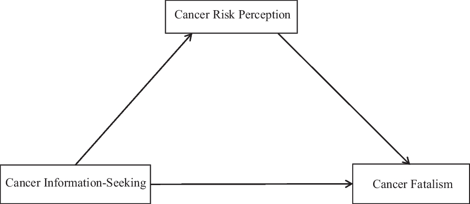 How Information-Seeking Reduces Cancer Fatalism: A Comparison of the Mediating Role of Risk Perception in Young and Older Adults