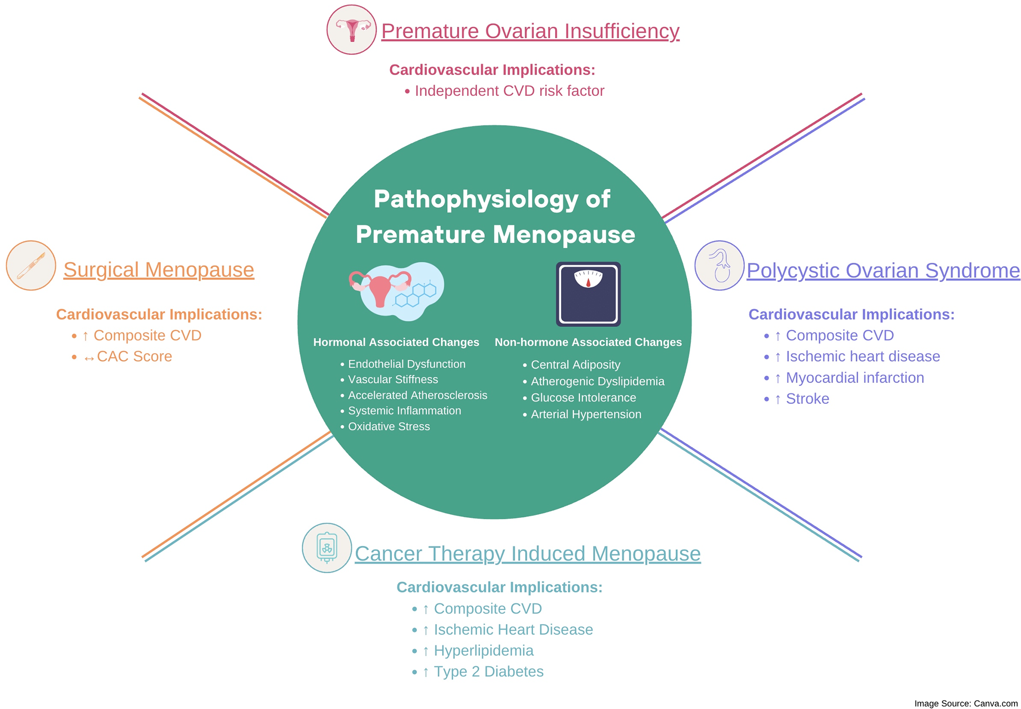 Cardiovascular Consequences of Premature Menopause