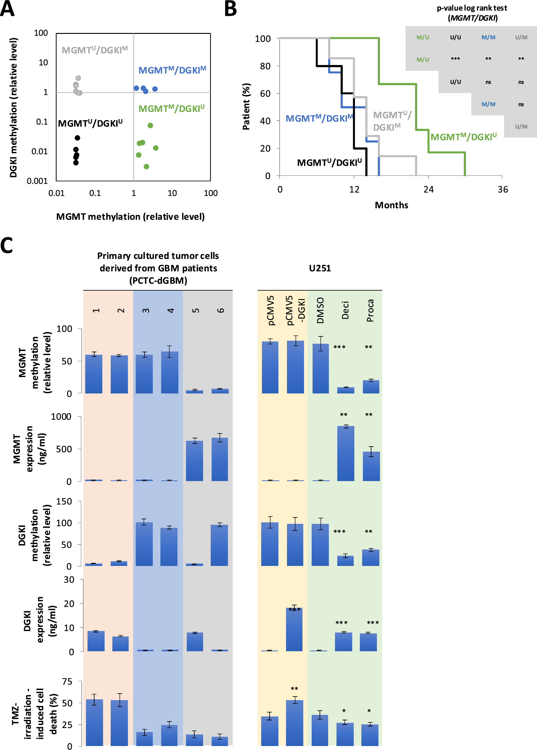 Selective disruption of DNMT1/ELK1 interactions induces DGKI re-expression and promotes temozolomide sensitivity of MGMTmethylated/DGKImethylated glioblastoma