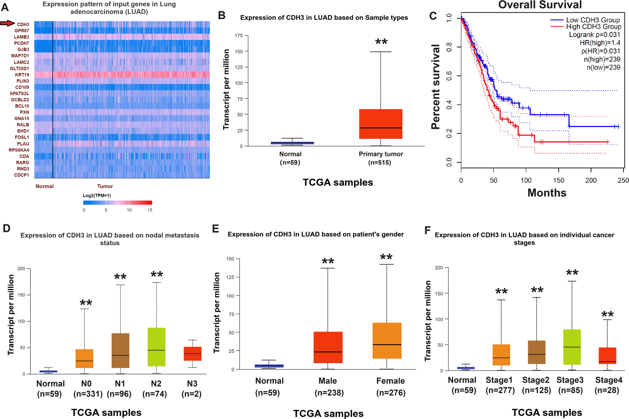 Exosomal FGD5-AS1 promotes proliferation of lung cancer cells under hypoxia by inhibiting miR-1179 and activating P-cadherin
