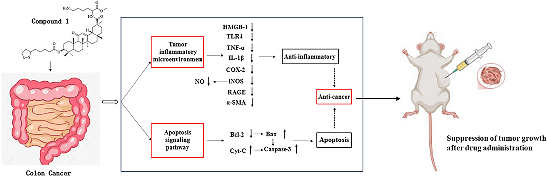 Anti-cancer activity of the glycyrrhetinic acid derivatives with an inhibitory inflammatory microenvironment