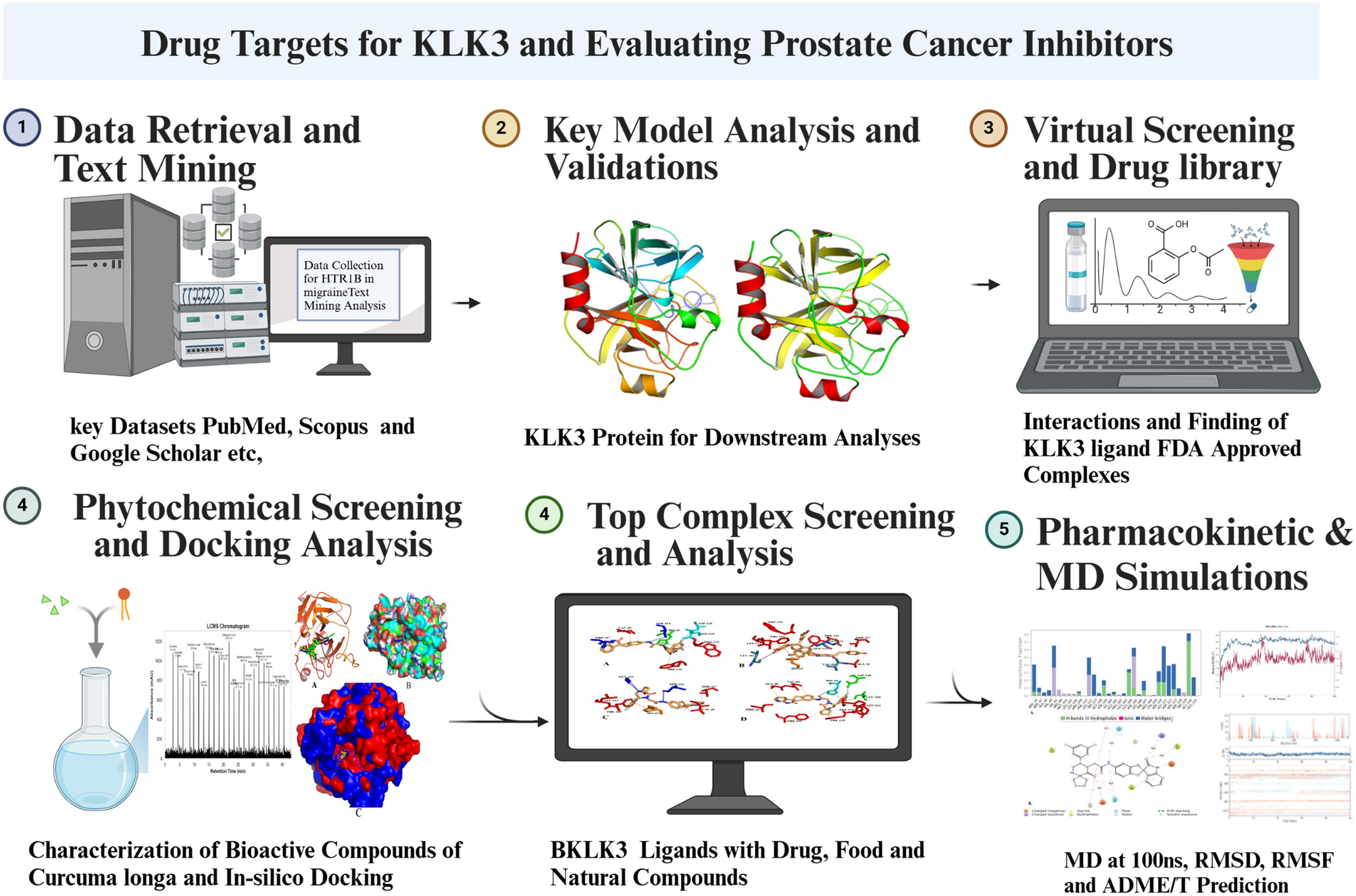 Identifying drug targets and evaluating KLK3-targeted inhibitors for prostate cancer using in-silico and in-vitro approaches