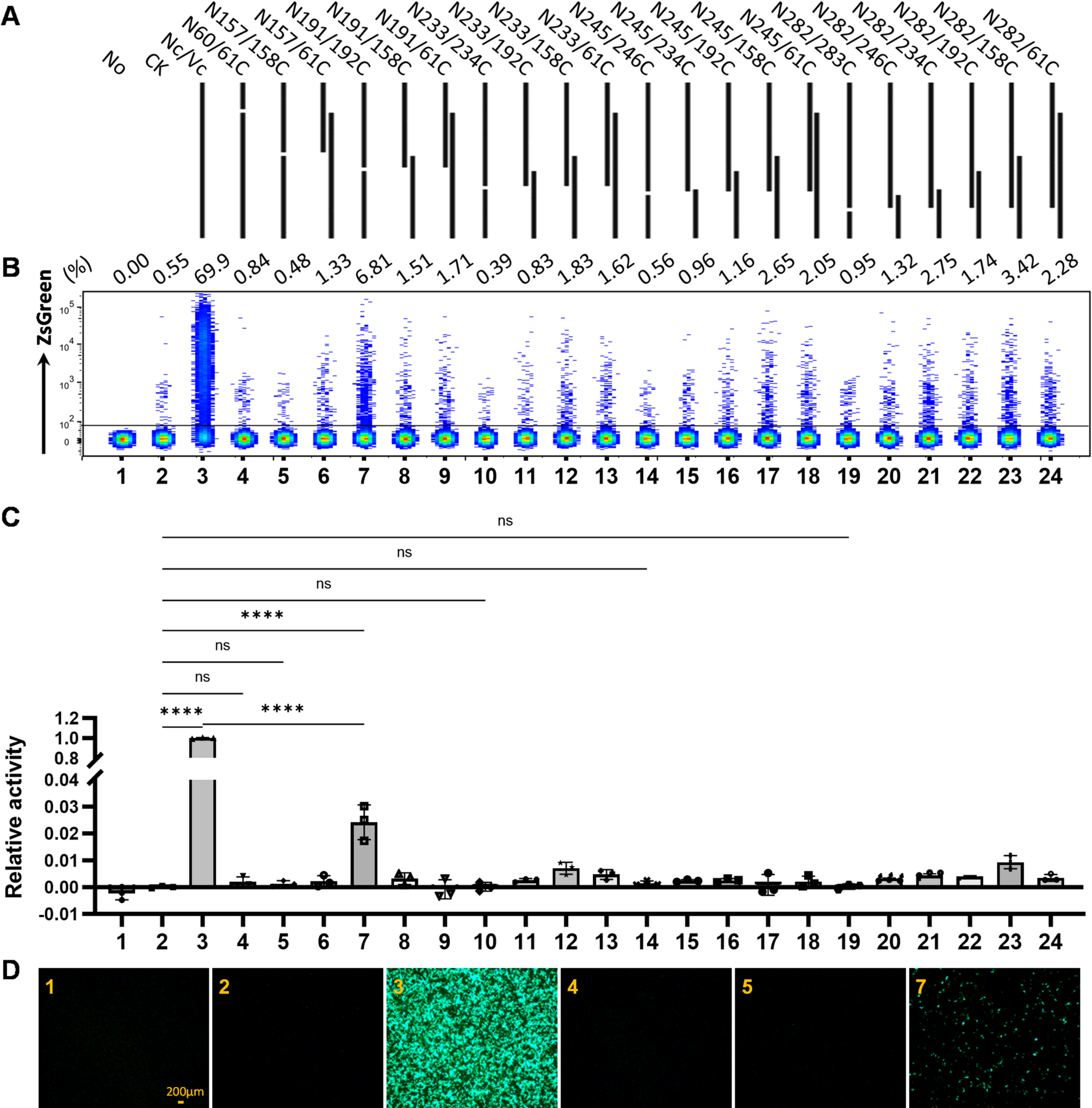 Efficient site-specific recombination by self-activating split-Dre recombinase in mammalian cells and E. coli