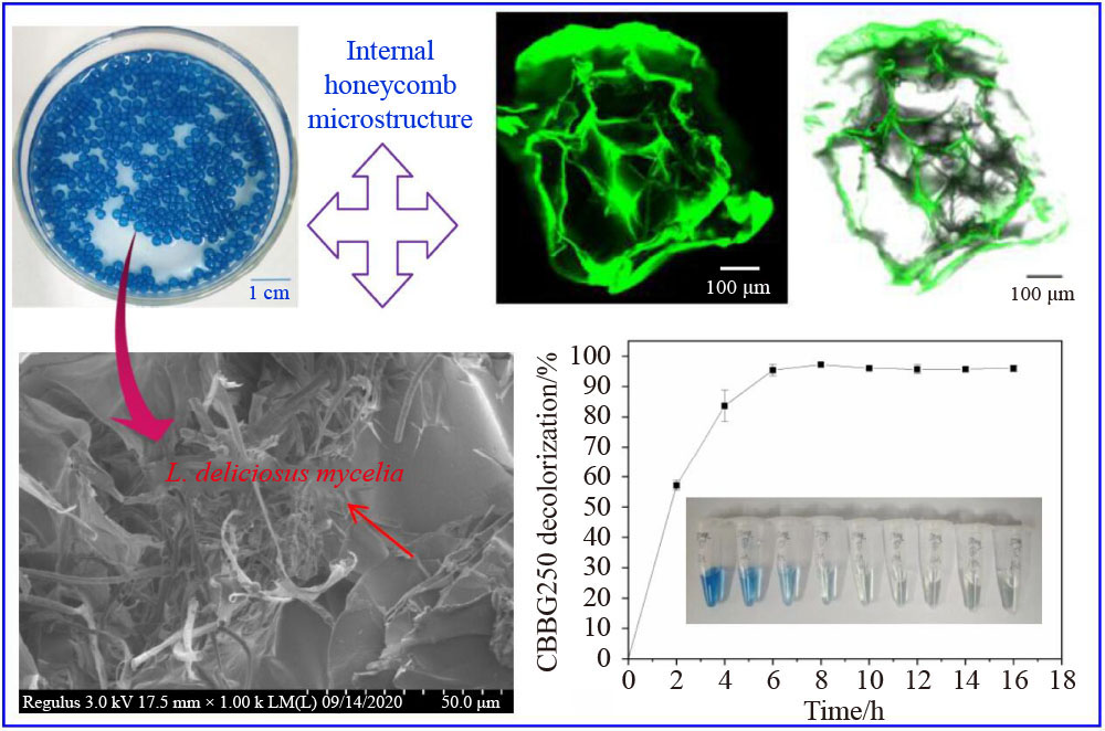 Immobilization and characterization of the  mycelia-embedded polylysine-alginate beads and their decolorization performance