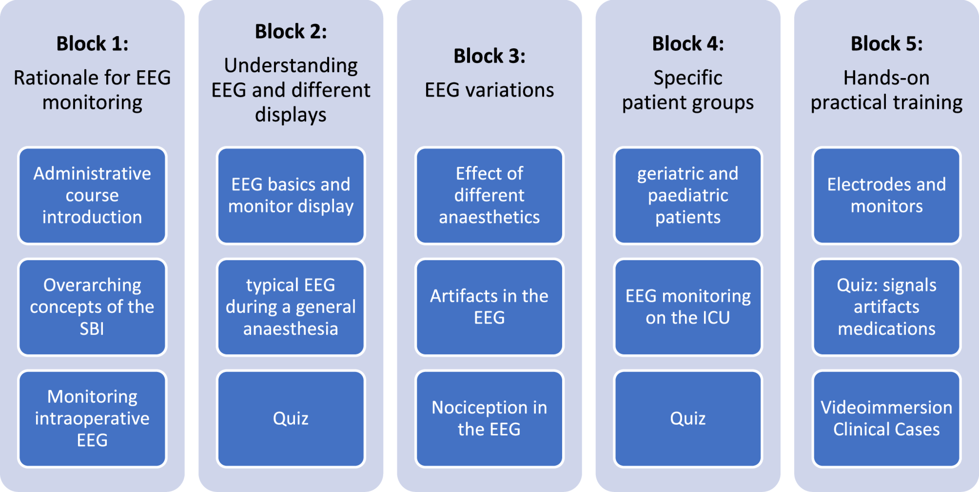 Introducing the Safe Brain Initiative’s EEG boot camp for anaesthesia for standardised training on how to use the electroencephalogram for perioperative care