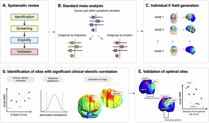 Mapping symptom-general and symptom-specific targets for transcranial magnetic stimulation in schizophrenia: an electric-field modeling meta-analysis