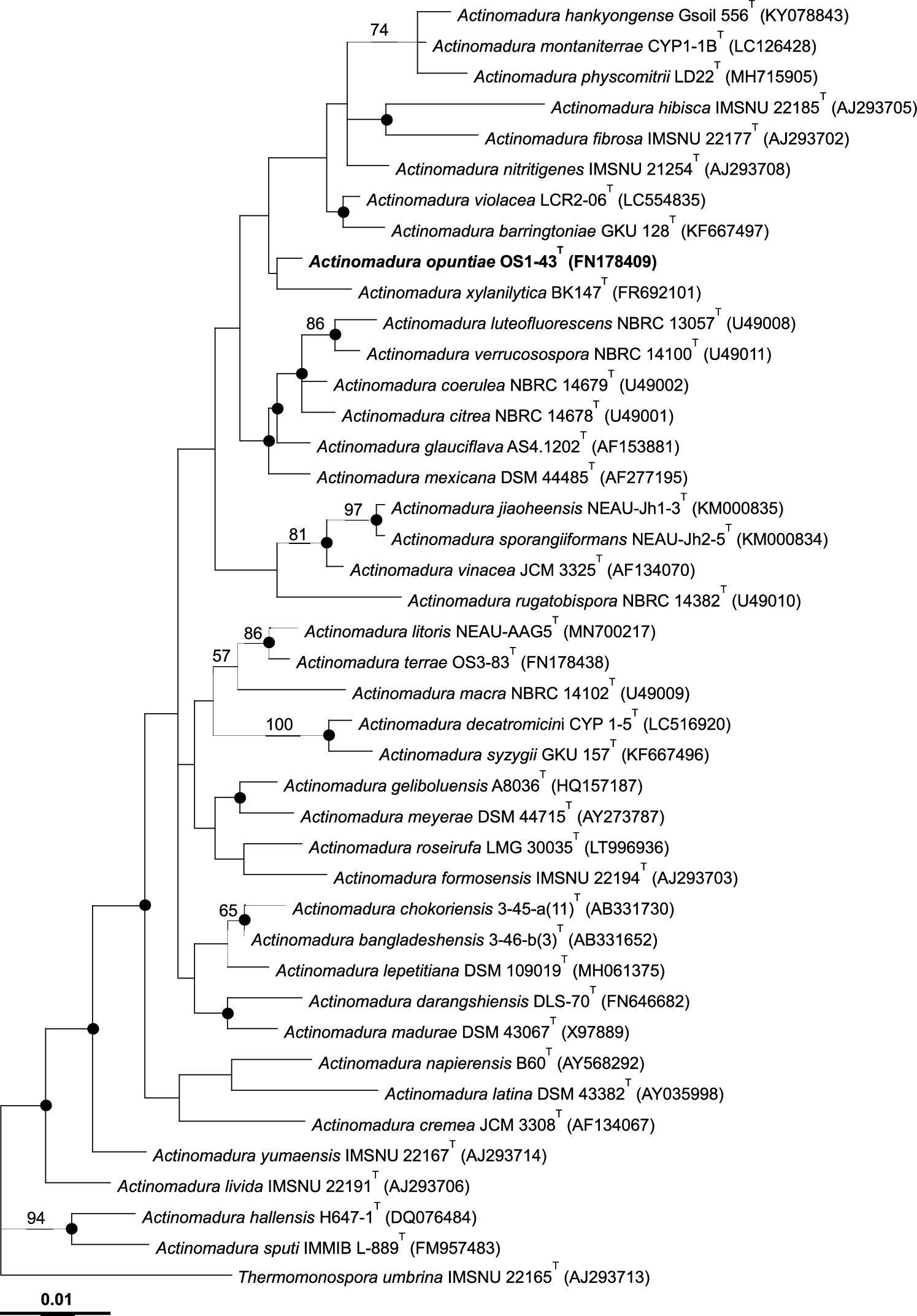 Sp. Nov., Isolated from a Soil of Cactus and the Reclassification of  Wink Et Al 2003 as a Later Heterotypic Synonym of  Horan and Brodsky 1982