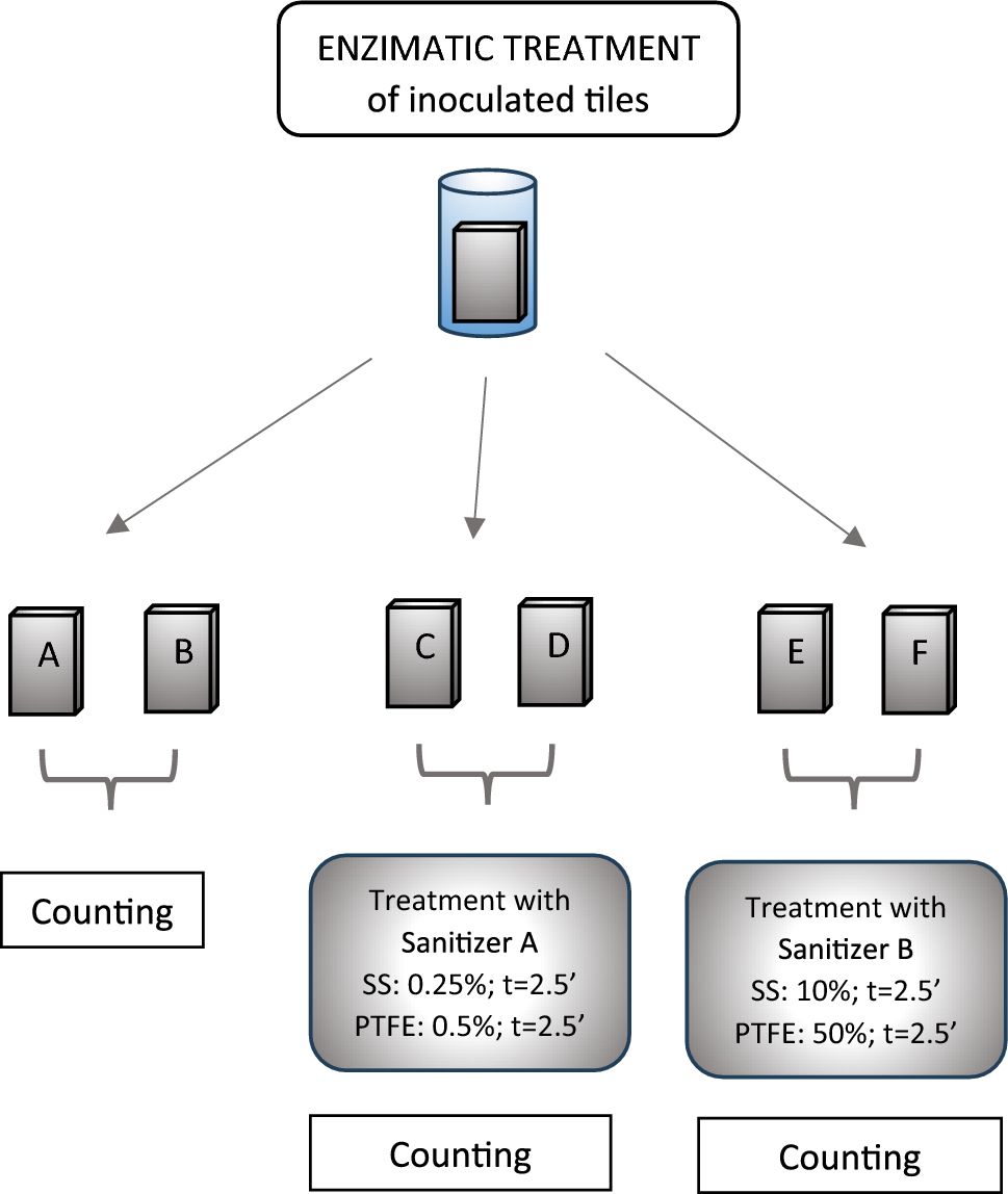 Effect of Chemical Sanitizers Alone or Combined with An Enzymatic Product Against  Biofilms on Food-Grade Materials