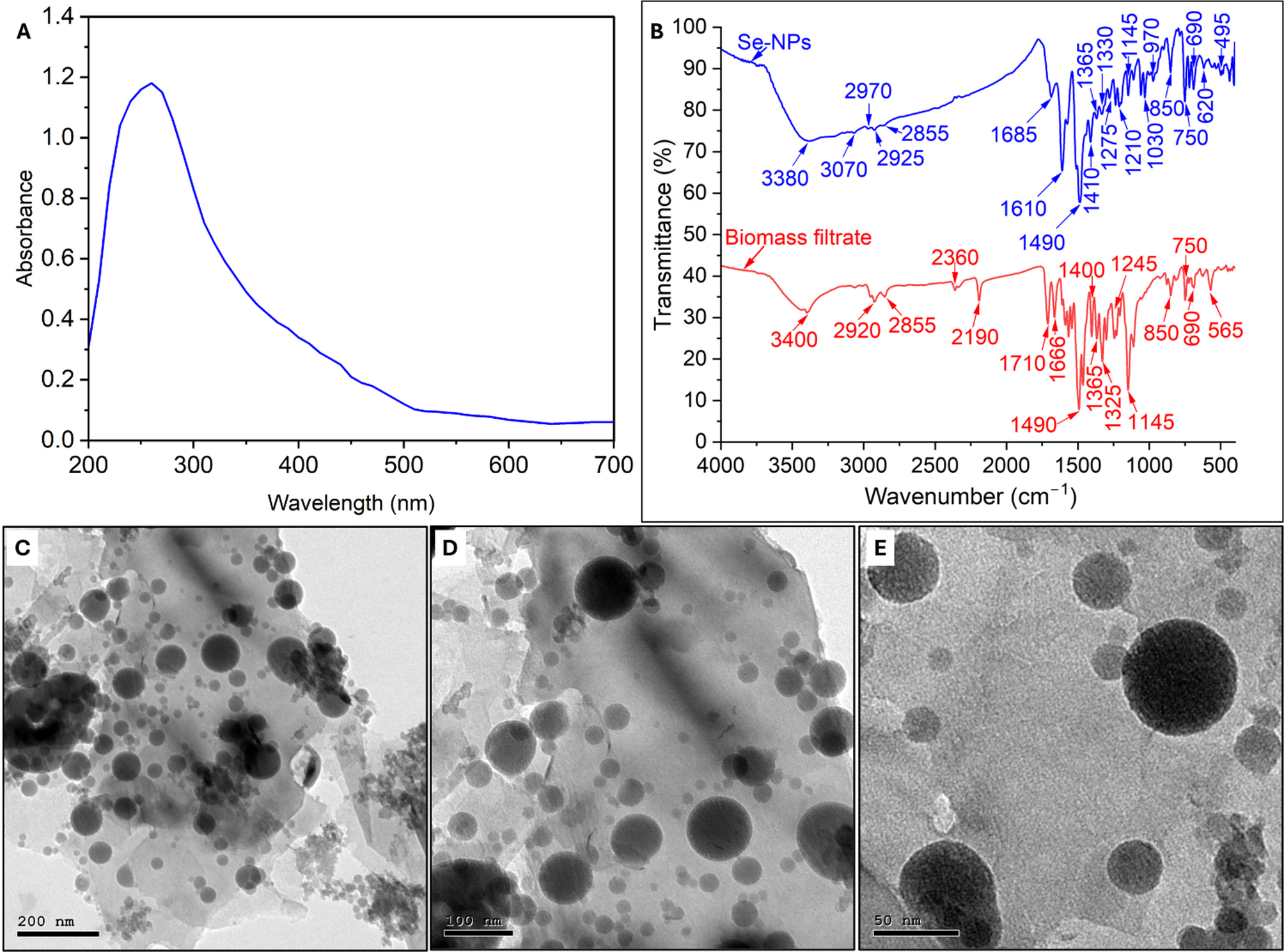 Marine actinobacterium Streptomyces vinaceusdrappus mediated nano-selenium: biosynthesis and biomedical activities