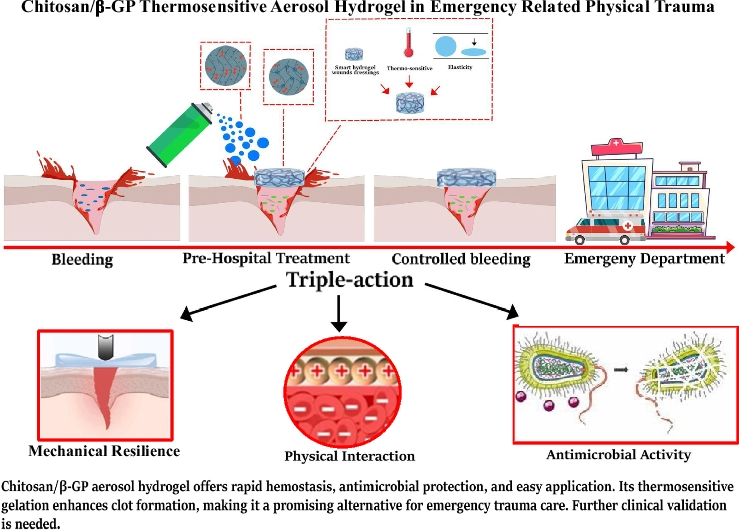 Chitosan/β-Glycerophosphate Thermosensitive Aerosol Hydrogel as an Innovative Medical Device for Rapid Hemostasis in Emergency Related Physical Trauma: A Comprehensive Review