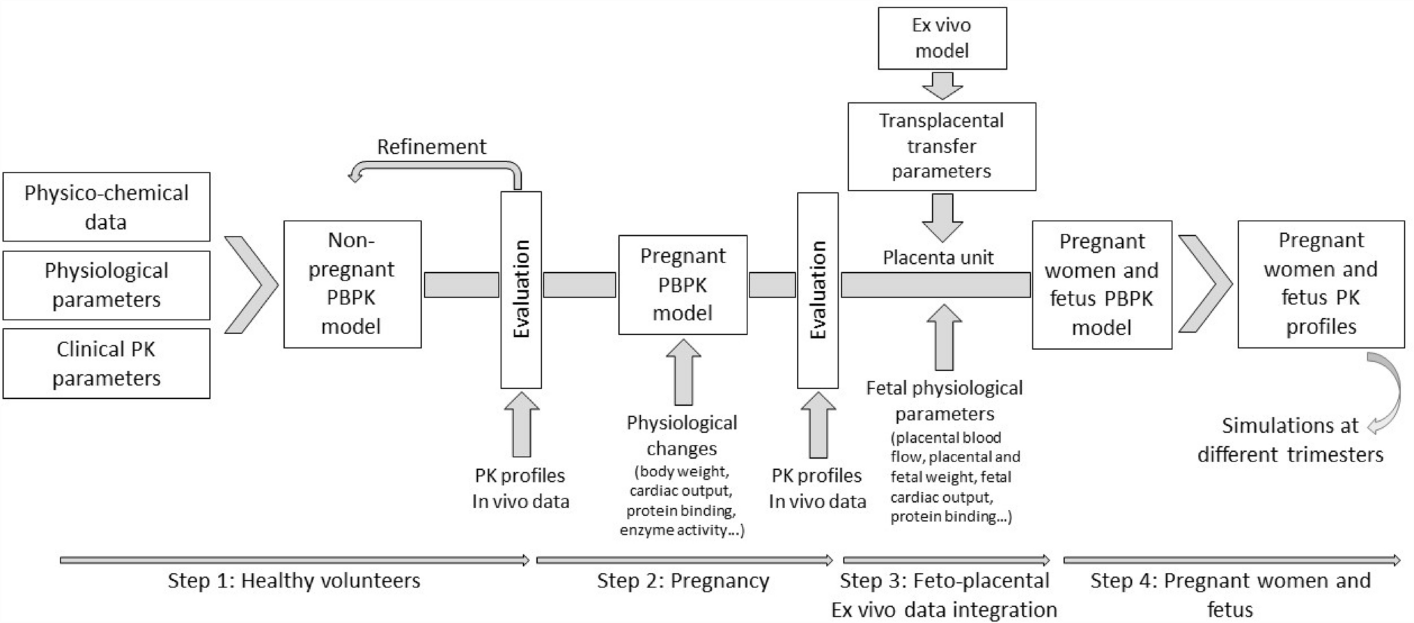 Prediction of Maternal and Fetal Exposure to Escitalopram, Sertraline, and Paroxetine by Combining Human Ex Vivo Placenta Perfusion Data and Physiologically Based Pharmacokinetic Modeling