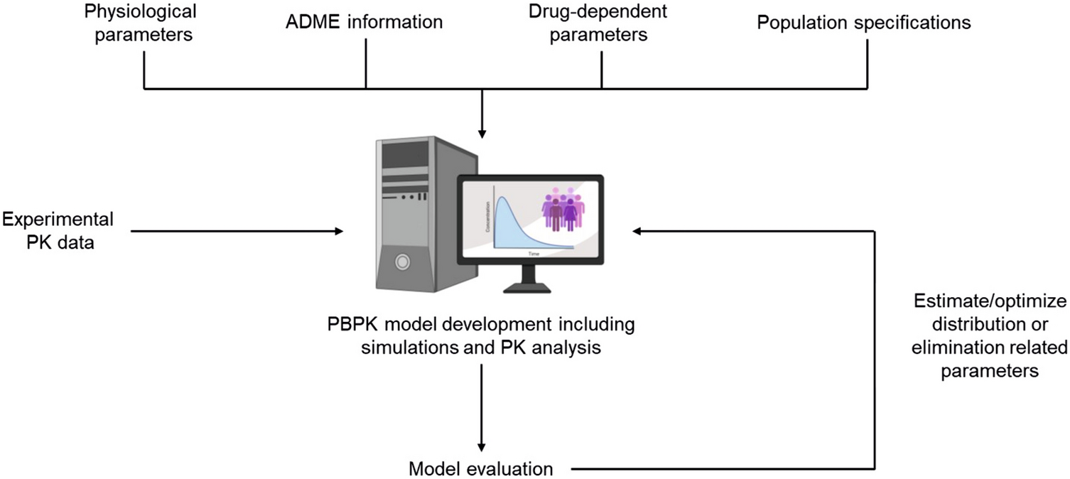 A Physiologically Based Pharmacokinetic Model for the Prediction of Plasma and Bone Tissue Exposure after Prophylactic Administration of Ampicillin/Sulbactam in Patients with Osteonecrosis of the Jaw
