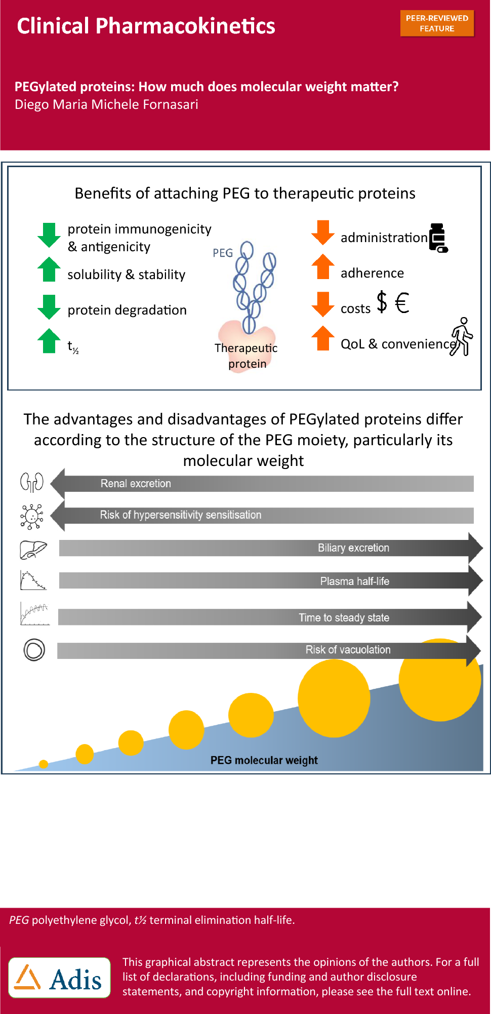 PEGylated Proteins: How Much Does Molecular Weight Matter?