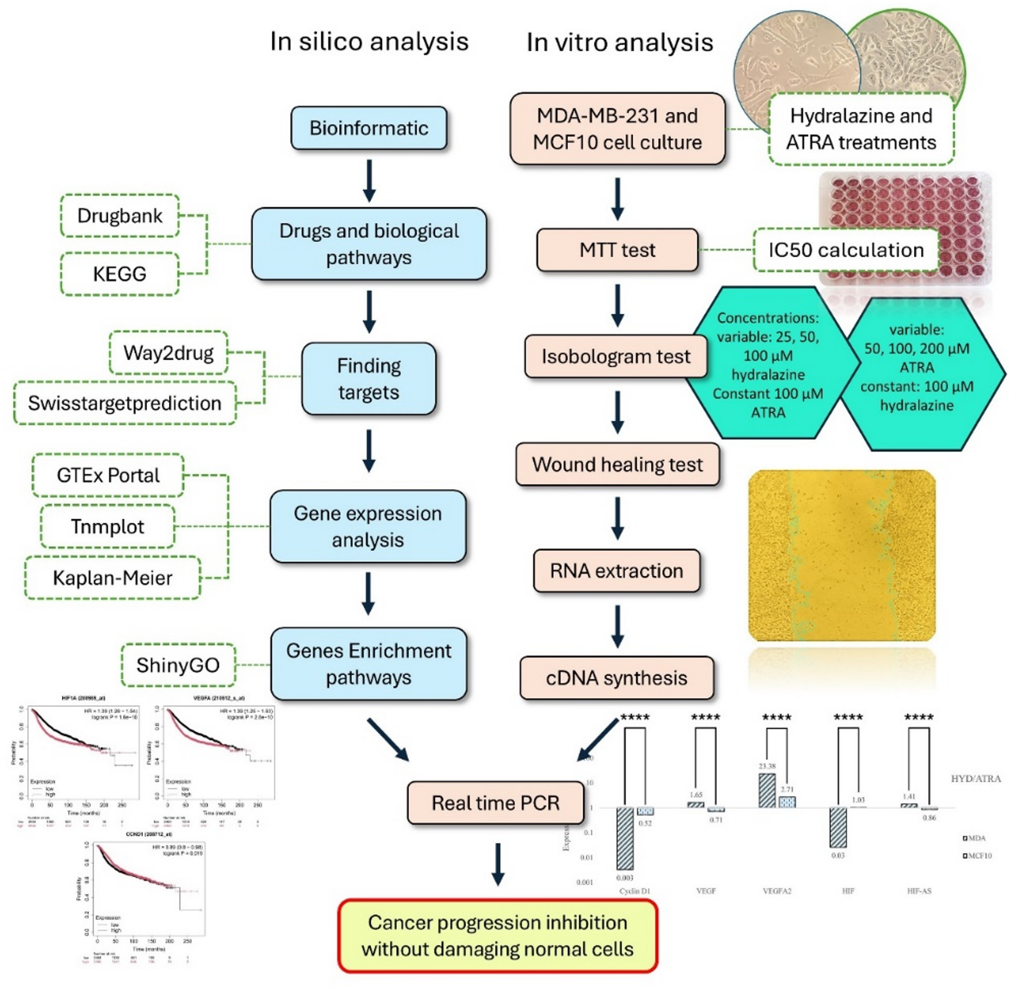 Combination of hydralazine and all-trans retinoic acid targeting breast cancer cells